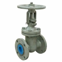 Задвижка 30с41нж DN 100 PN 16